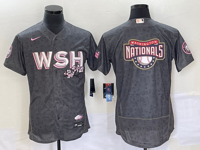 Men's Washington Nationals Gray City Connect Replica Team jersey