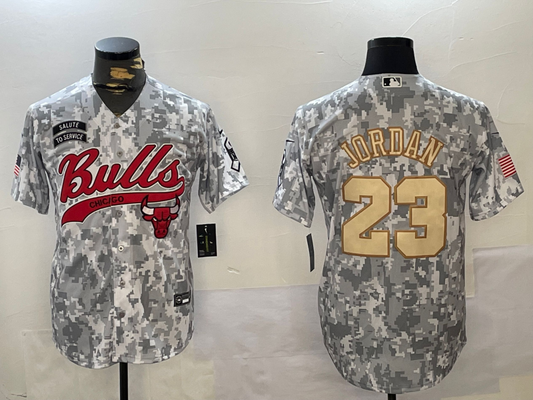 Men's Chicago Bulls Michael Jordan #23 Arctic Camo 2024 Salute to Service Limited Player Jersey